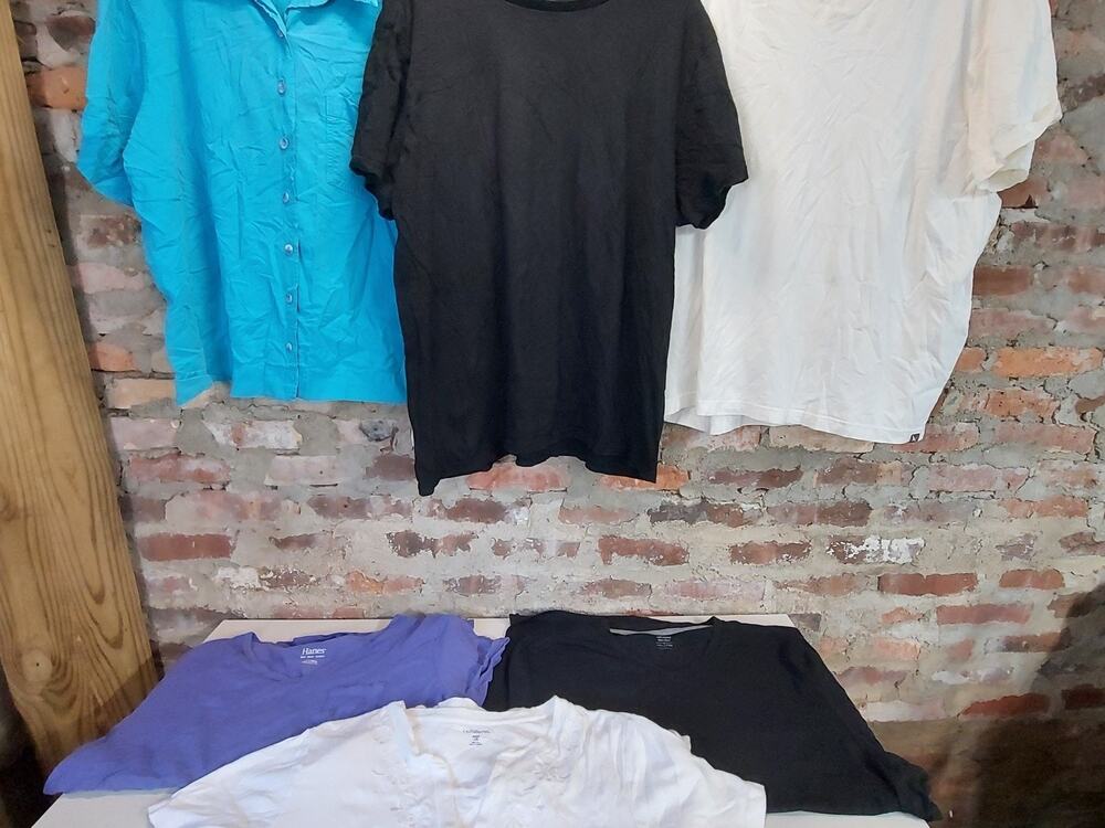 Mixed Lot 6 Shirts Eddie Bauer Womens 2XL Tee Sporto Hanes Catherines Tops